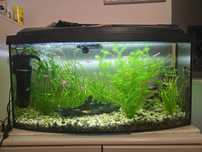 Akwarium 110L i 75L z pokrywą