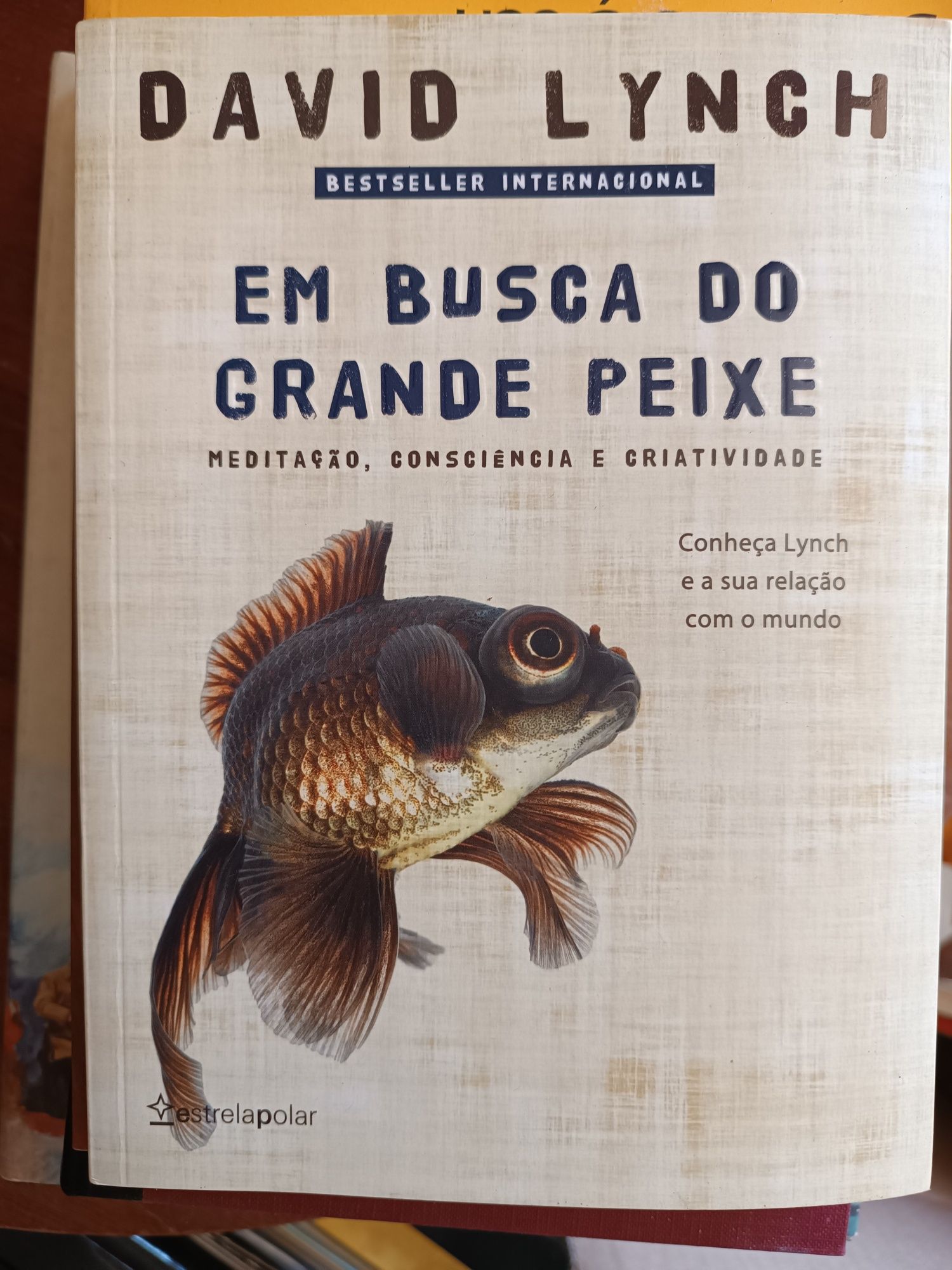 Lote de 111 livros variados