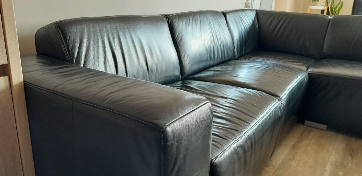 Etap Sofa narożnik skóra kolor czarny