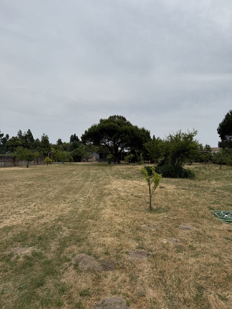 Quinta no Centro de Mira com 10.000 m² – Oportunidade Única!