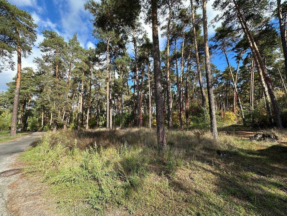 Ваш майбутній будинок у підніжжя лісу, ДВРЗ, 20 соток