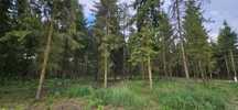 Działki bud. 1076M2, 1200M2 - gmina Głowaczów; WZ