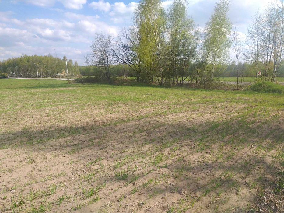 Działka 2,79 ha wydane Warunki zabudowy , media w działce
