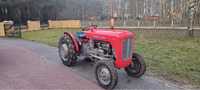 Massey Feguson 35 stan idealny kolekcjonerski sadowniczy