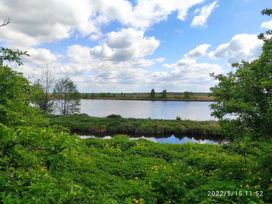 Будинок Степань- Погулянка