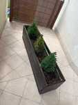 Oddam skrzynie na taras balkon
