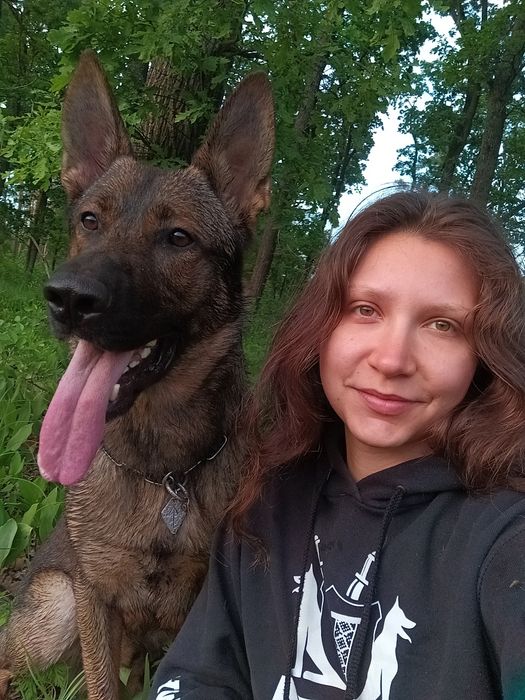 Кінолог Дресирування собак Боярка Нове Глеваха