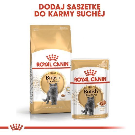 Karma w sosie dla kotów rasy brytyjski krótkowłosy - Royal Canin 85g