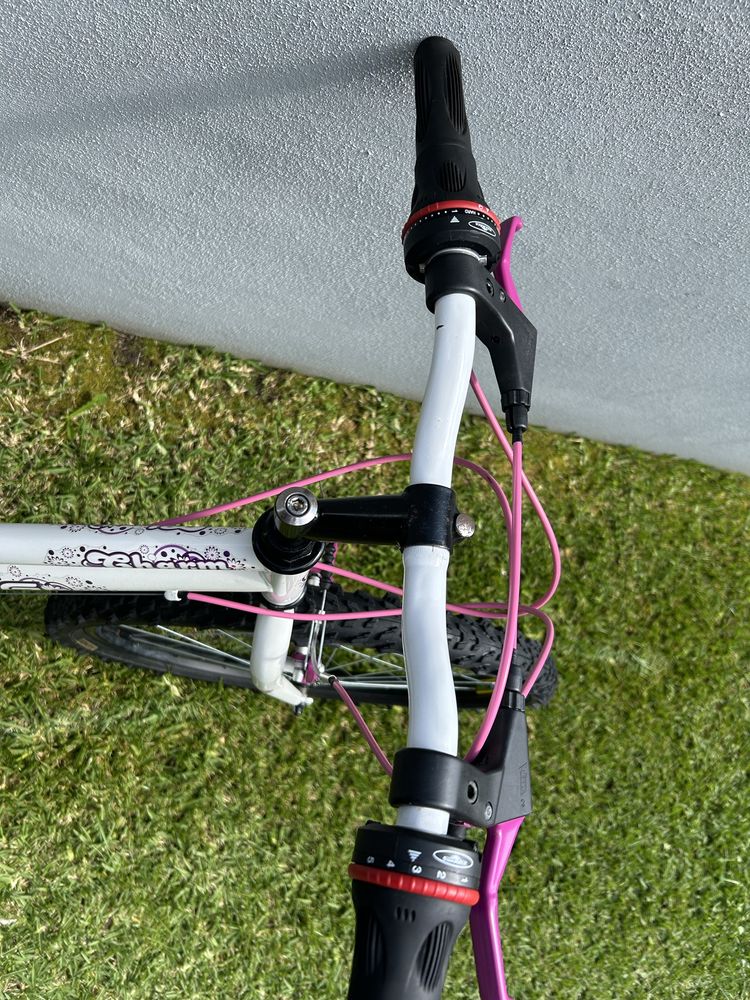 Bicicleta montanha