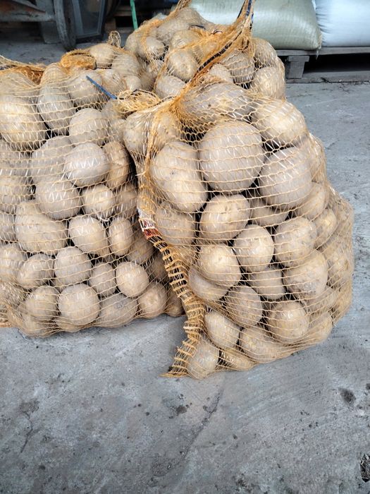 Ziemniaki Michalina worek 20 kg