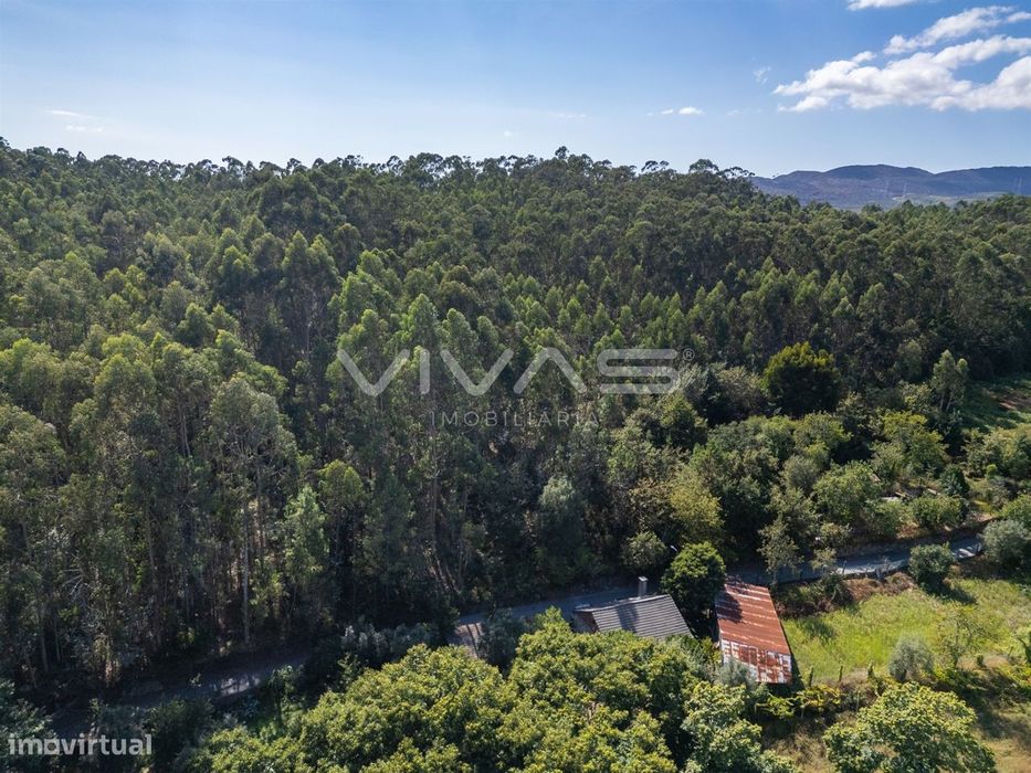 Terreno Rústico  Venda em Cabaços e Fojo Lobal,Ponte de Lima