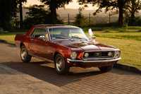 Mustang 1968 samochód Ślub sesja Kielce Świętokrzyskie Małopolska