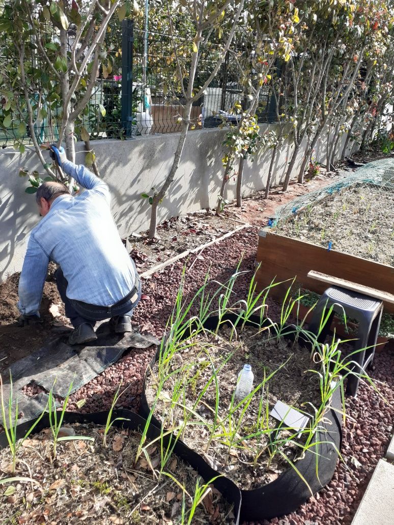 Jardinagem/ Espaços verdes