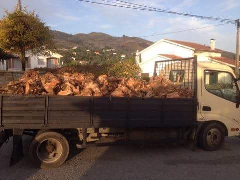 Venda de lenha para aquecimento 23m3