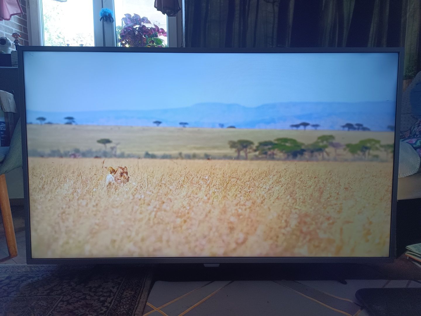 Tv Philips 55" 4K ANDROID DVB-T 2 hevc WiFi UHD HDR telewizor Smart