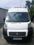 fiat ducato chłodnia