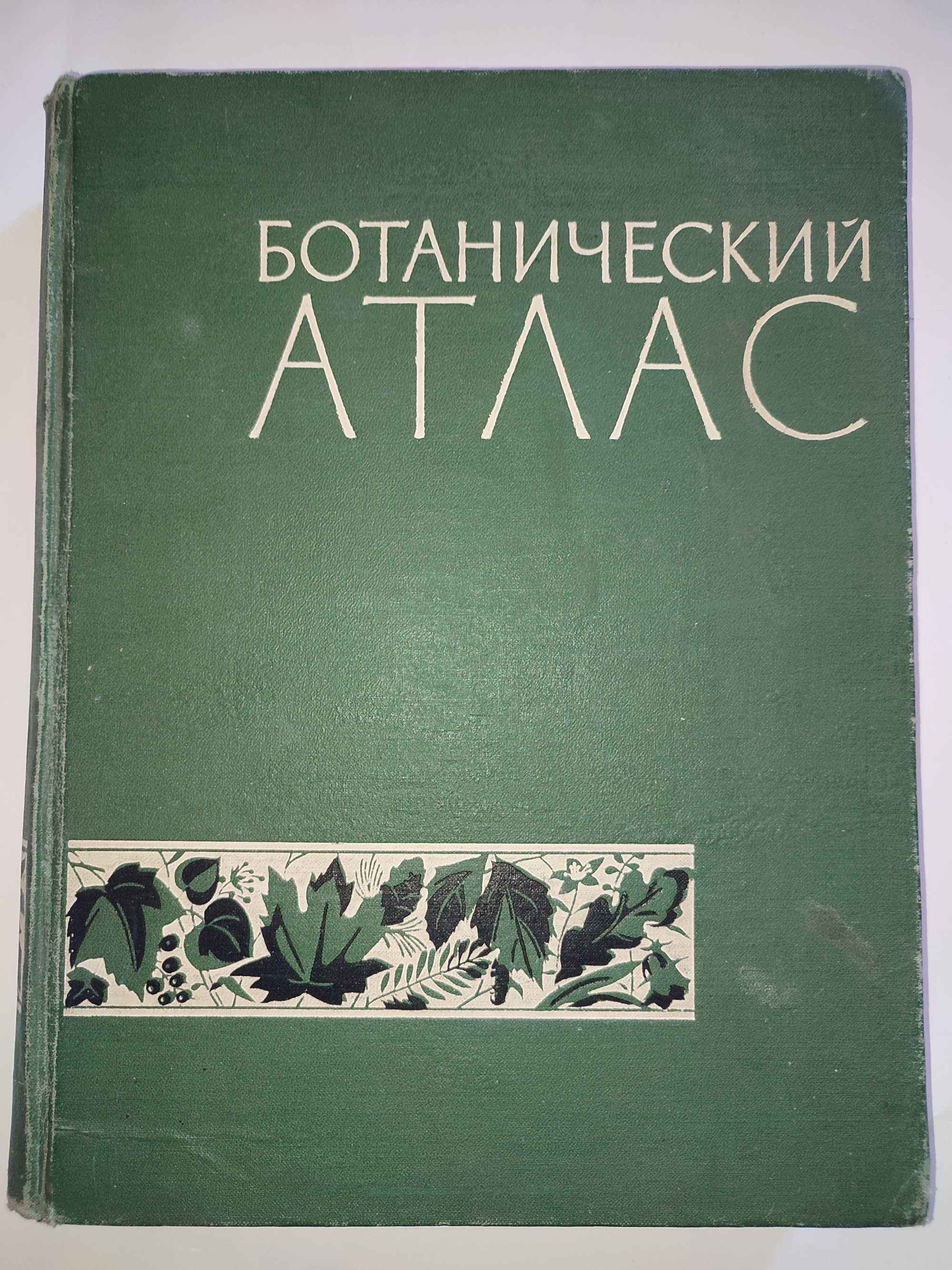 Ботанический атлас Шишкин Ботаника