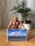 Turn On The Sunlight – Drives To The Beach [MC] 2022 Carlos Niño Mint