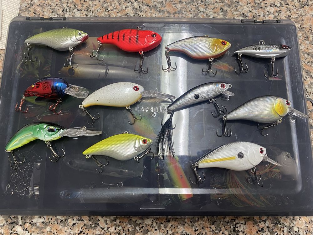 Lote de amostras - Pesca ao Achigã