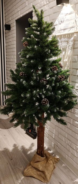 Choinka na pniu 180 cm