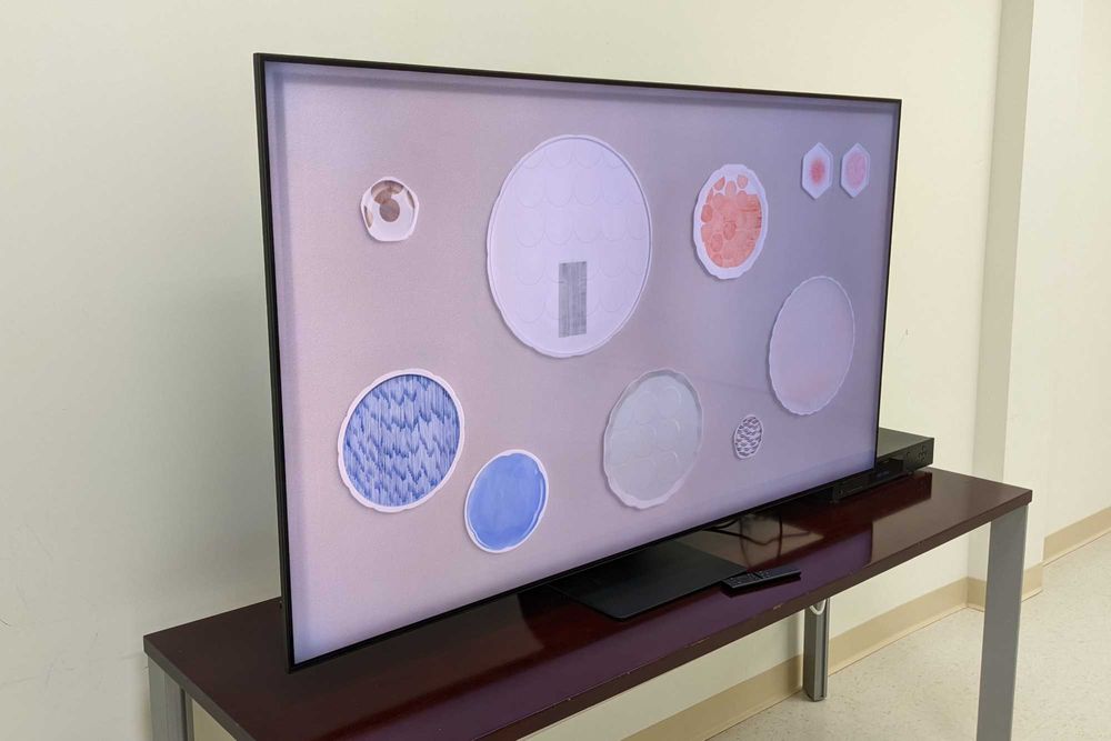 Samsung neoqled qn90b 65 polegadas