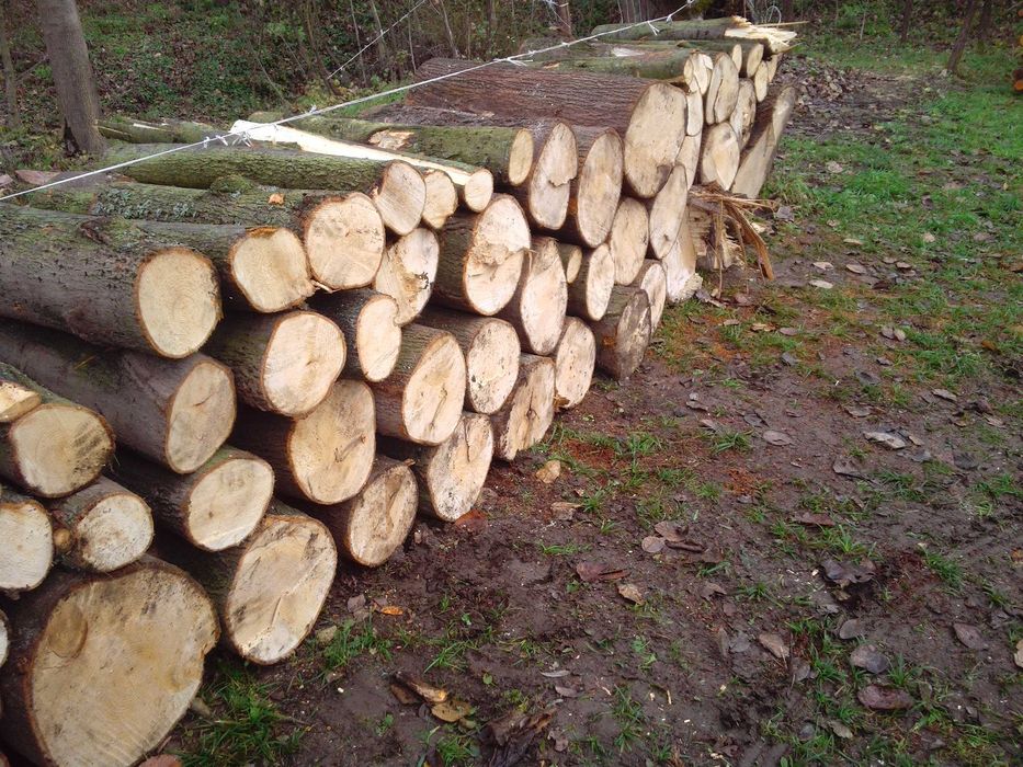 Kominek centralne wędzarnia drzewo metry ładne tanie twarde opał