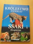 Królestwo zwierząt. Ssaki drapieżne.