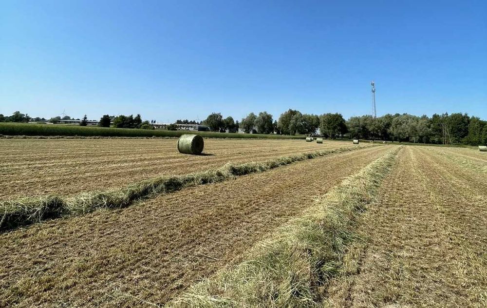 Siano sianokiszonka 2025