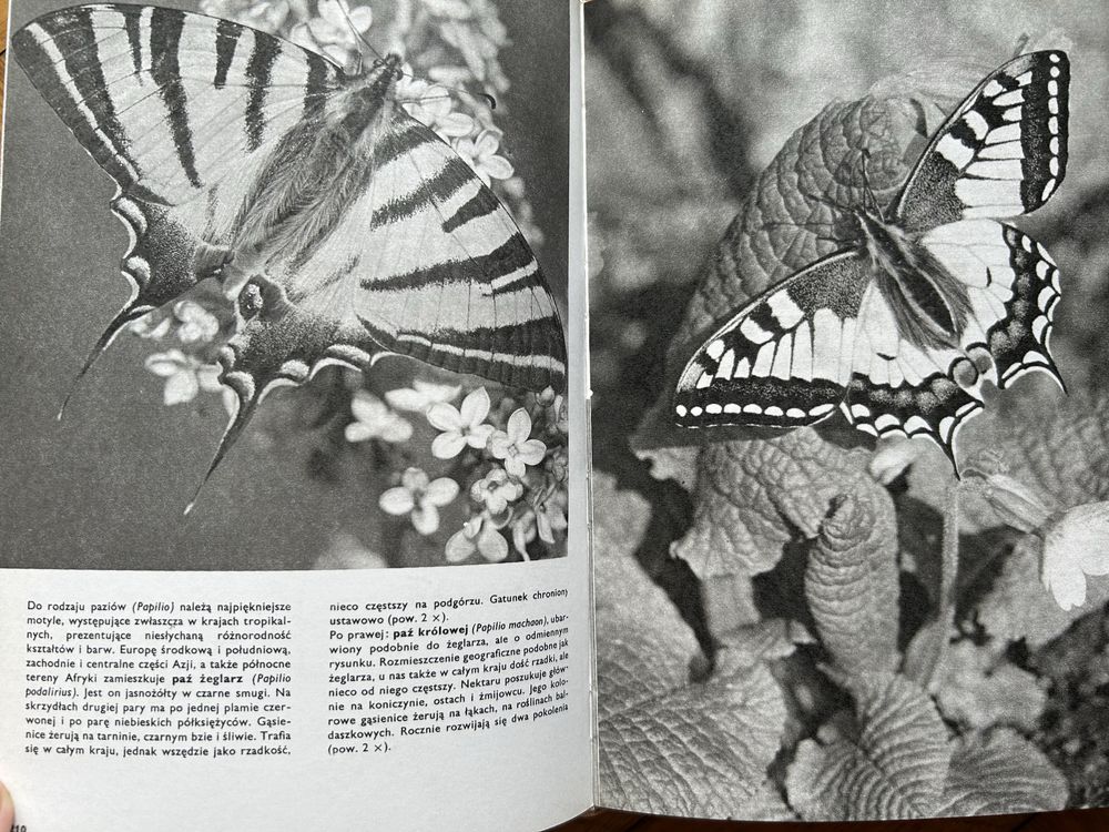 Wielki atlas zwierząt Stanek twarda oprawa super stan