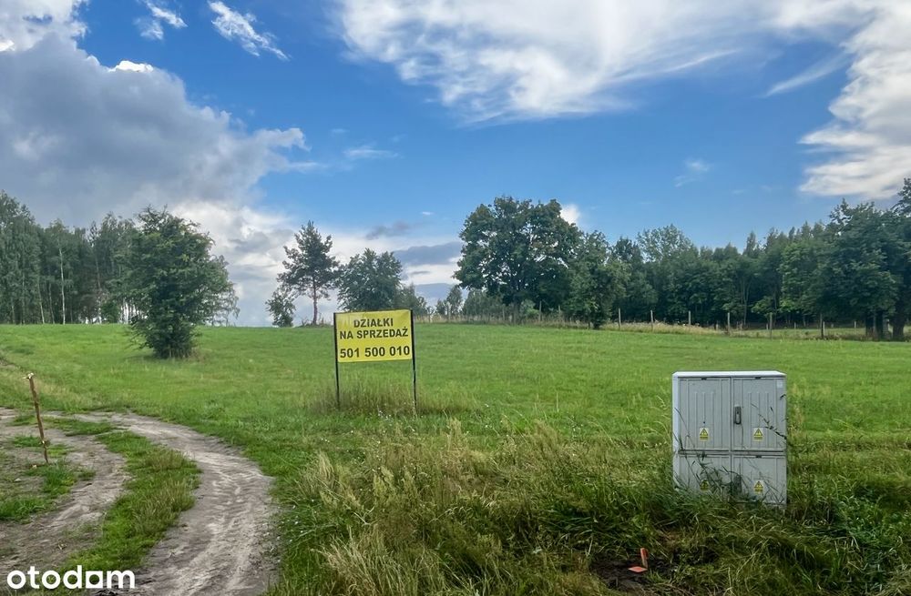 Fantastyczne 1.800 m2 w Puszczy Białej, z dec. WZ
