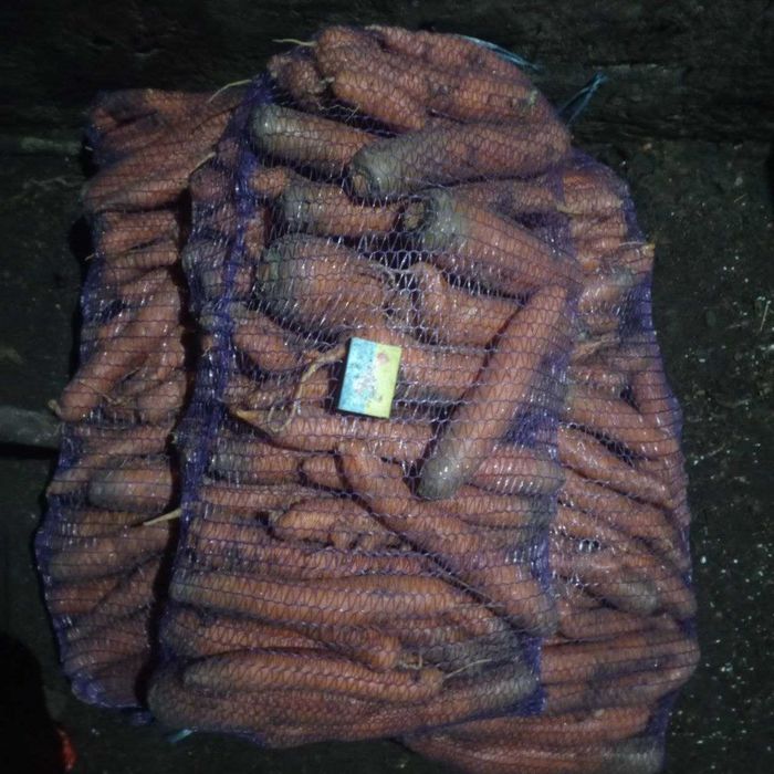 Продам велику цибулю,моркву