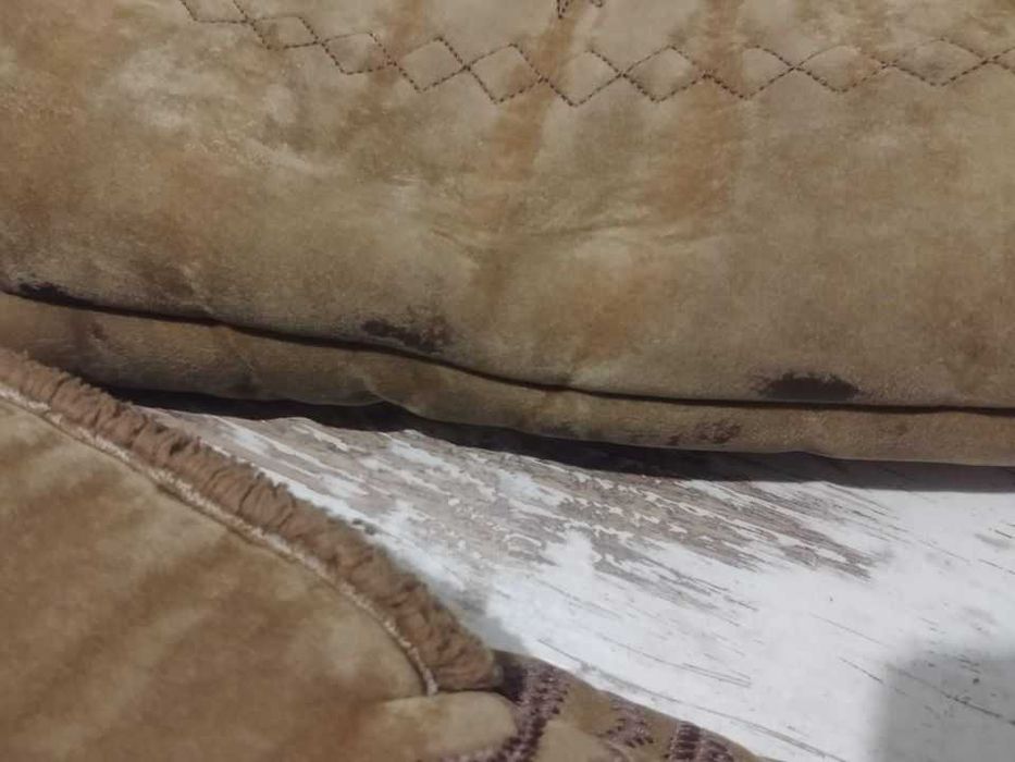 Futerko damskie, krótkie, śliczne