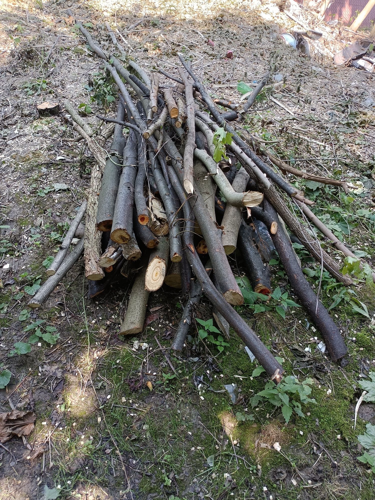 Drewno opałowe tward, tanio!