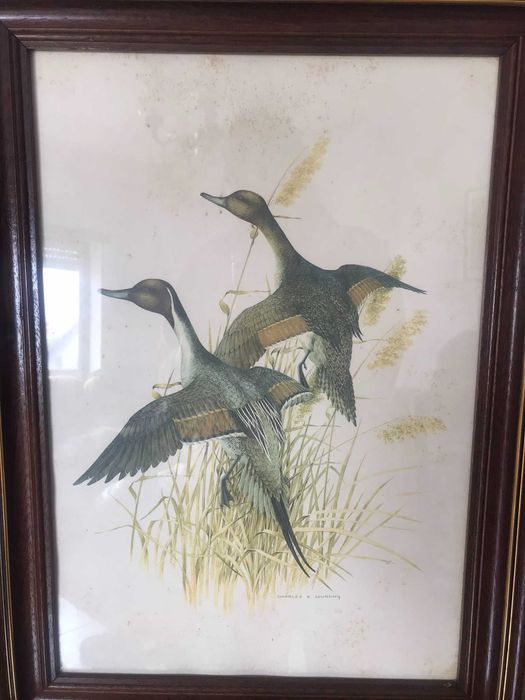 Quadro VINTAGE Charles E Murphy