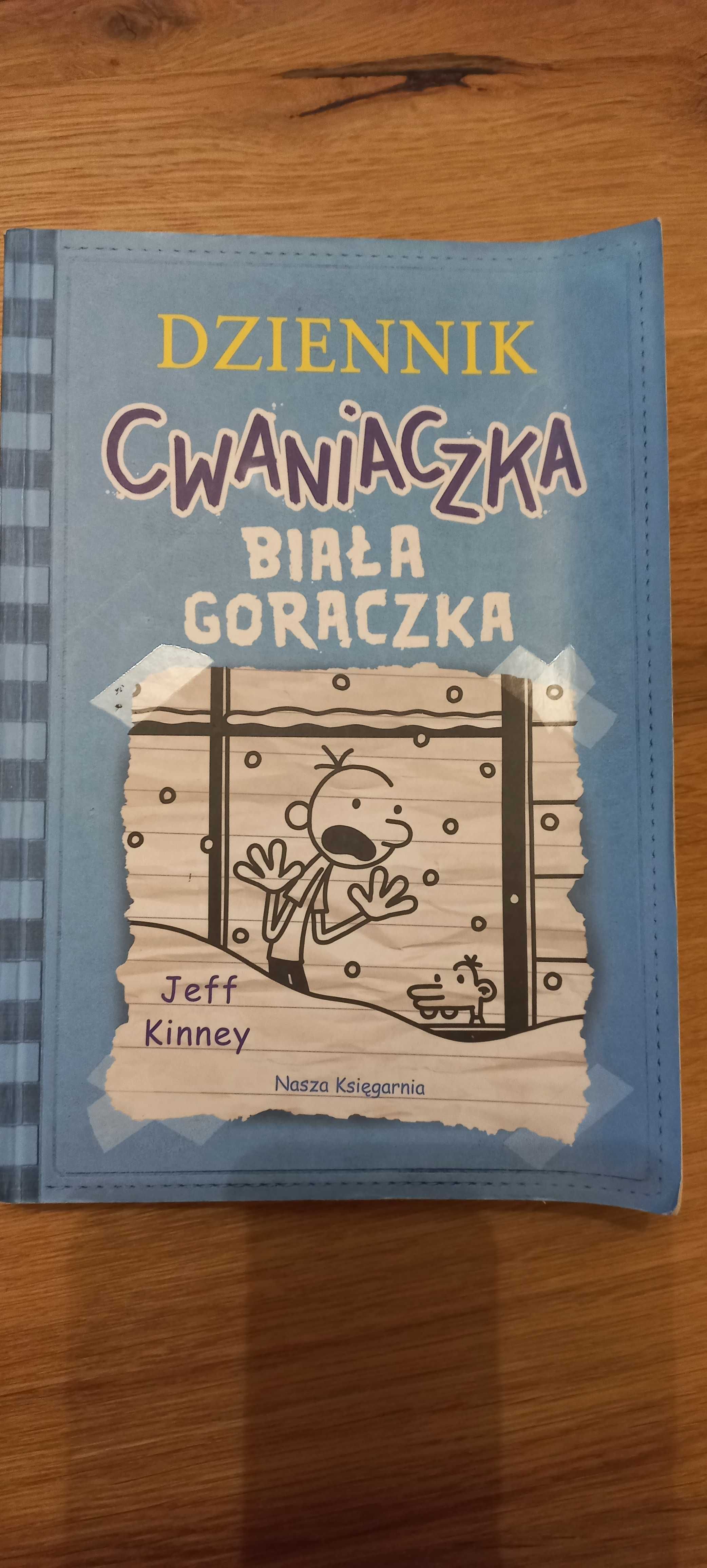 Książeczki dla dzieci i młodzieży z serii "Dziennik cwaniaczka"