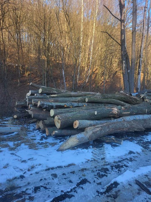 Sprzedam drewno kominkowe