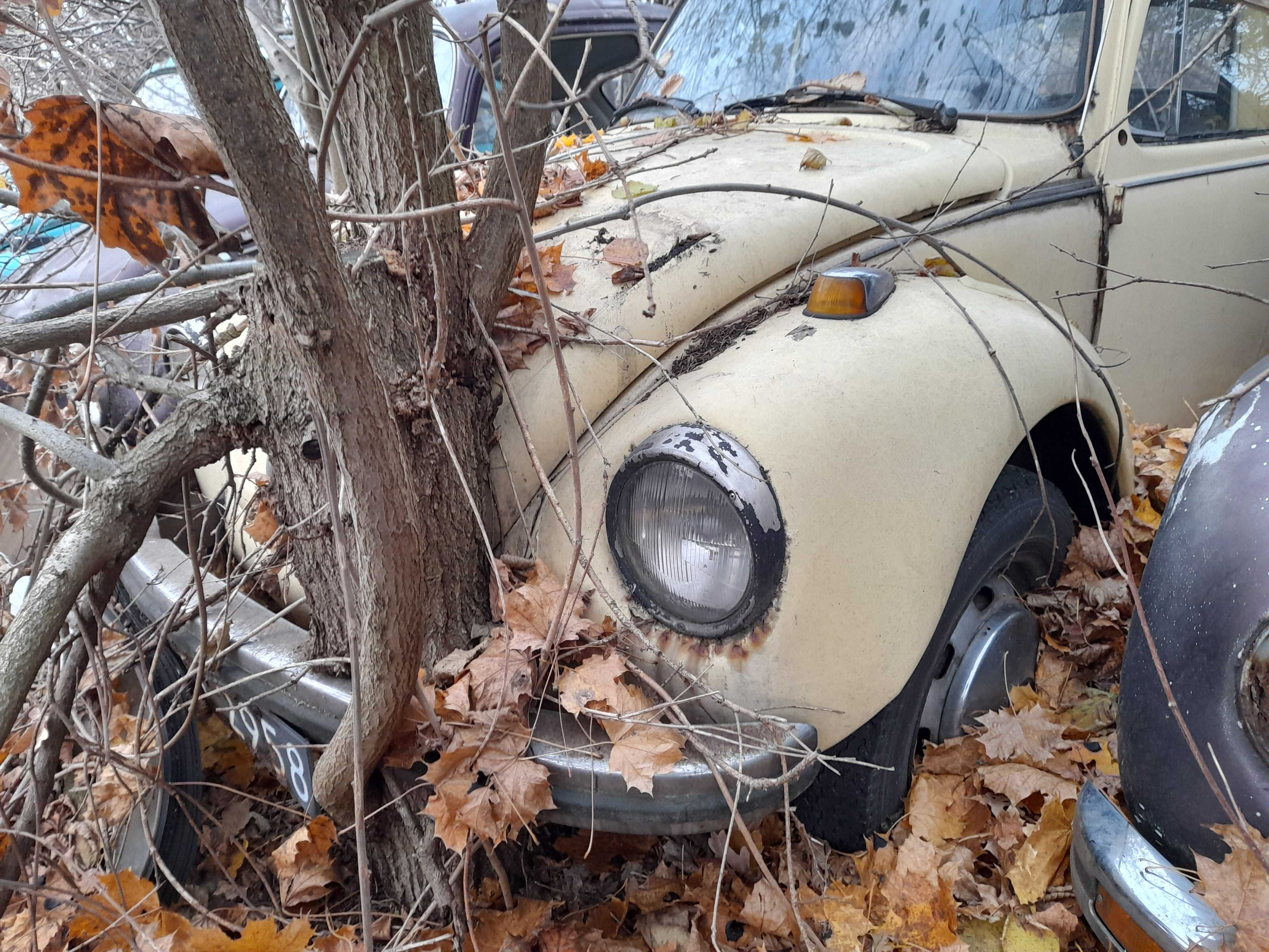 vw garbus lampa  przód inne