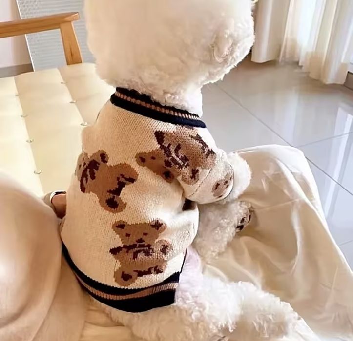 Зимний свитер для собачки