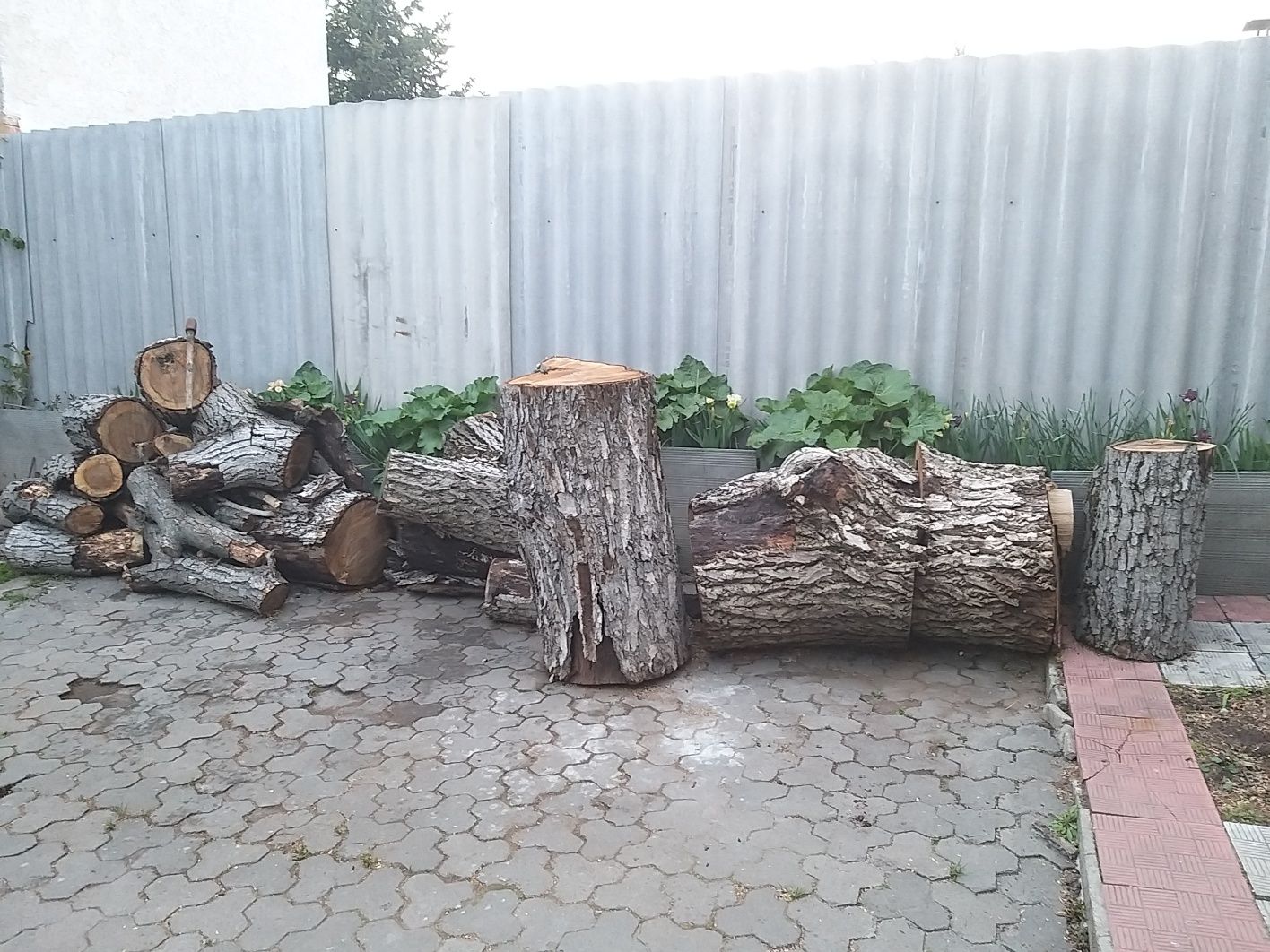 Продам дрова горіха 2000 грн.