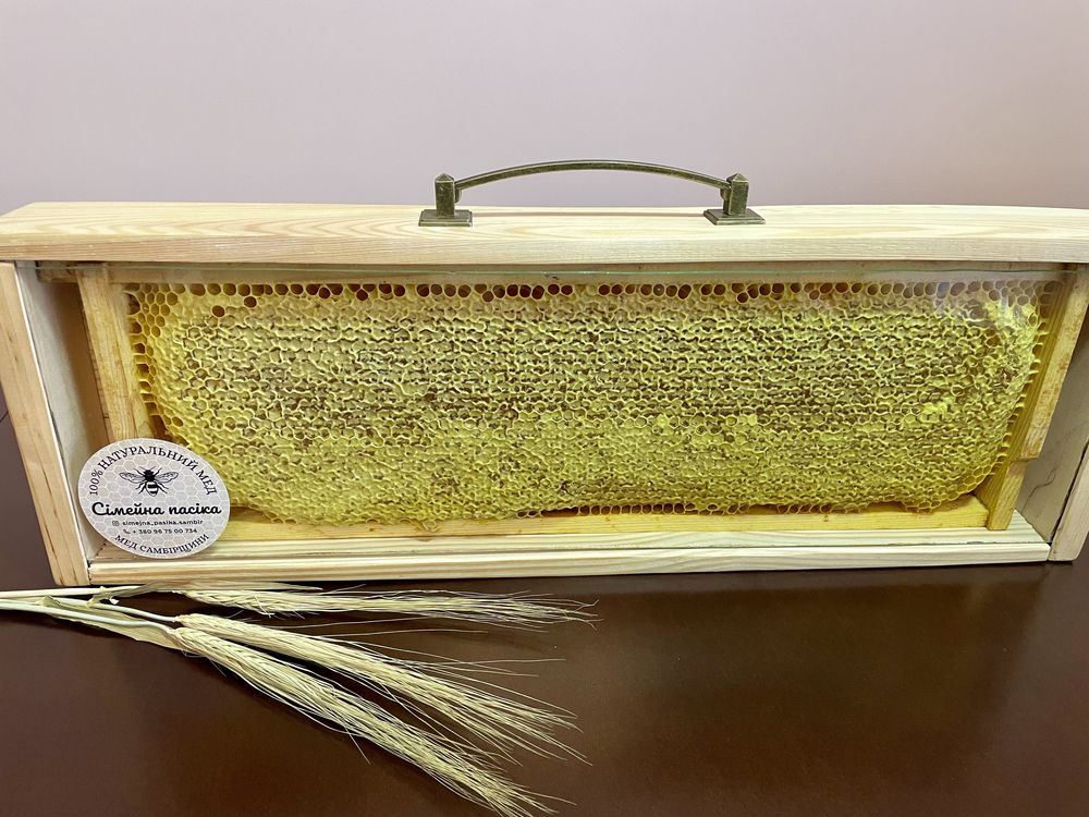 Мед в сотах ( стільниковий мед) в подарунковому кейсі