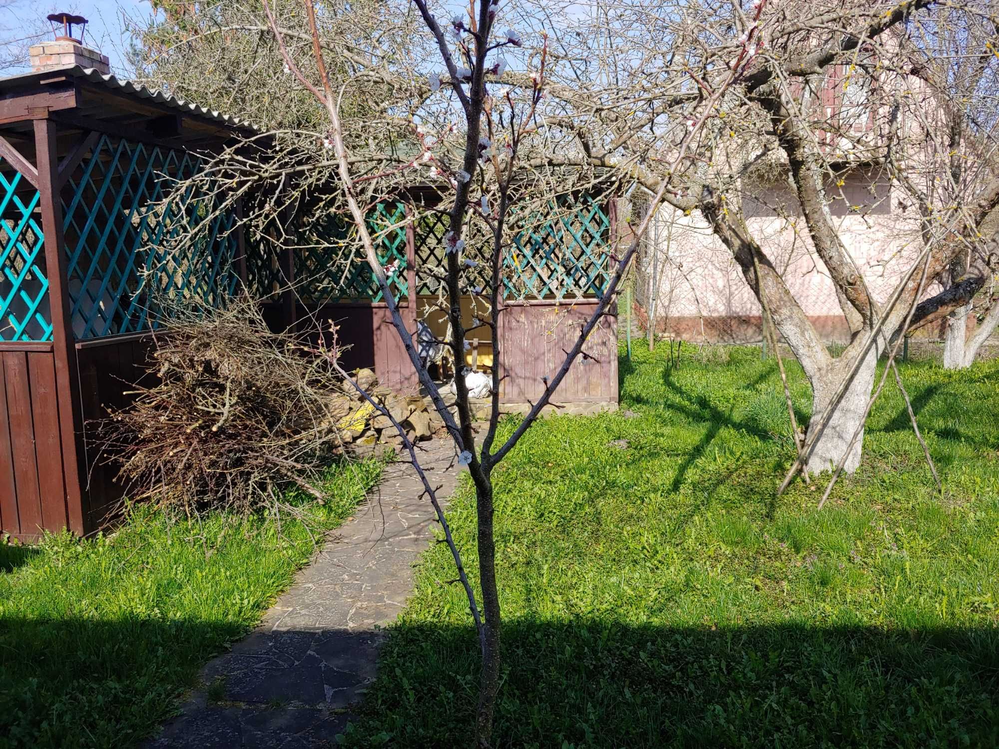 НЕРУХОМІСТЬ від ОЛЕКСАНДРА! Дача масив  Кам"яногірський