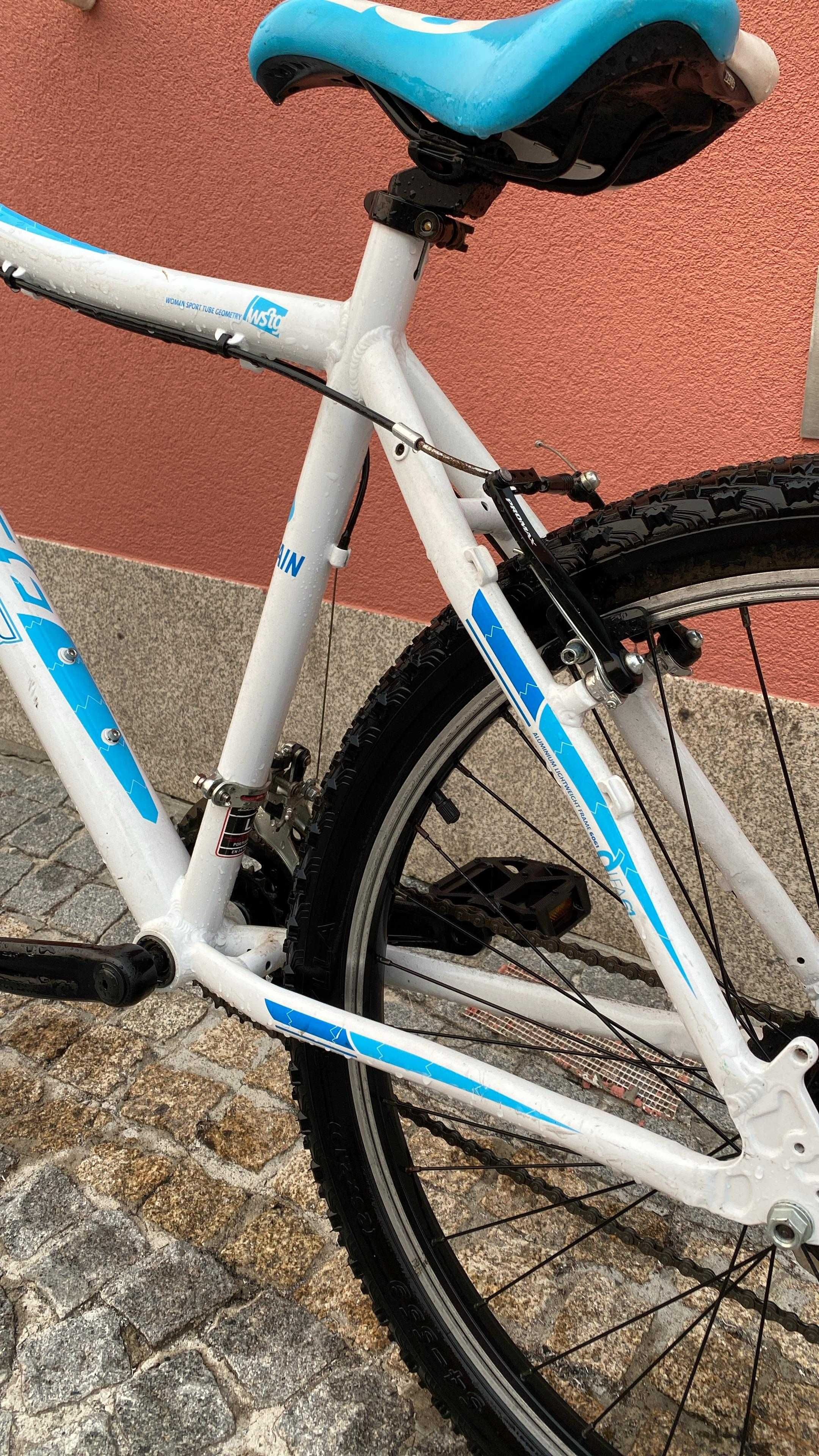 Bicicleta BTT Berg