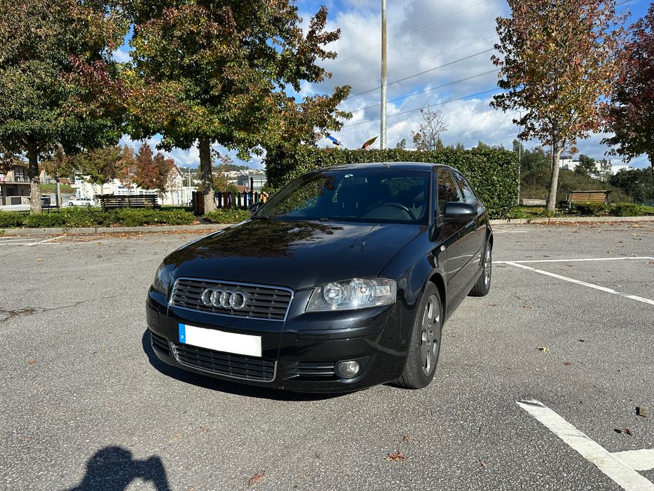Audi A3 8P 2.0 Tdi