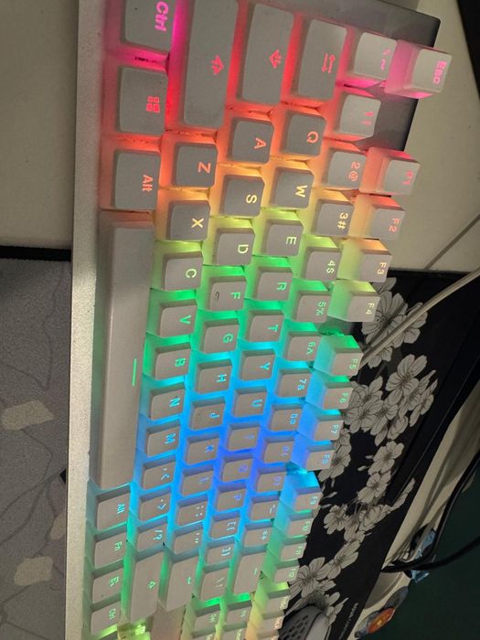 Klawiatura mechaniczna SPC GEAR GK650k biała Omnis Kailh Blue Onyx