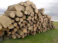 Drewno Komikowe opałowe opał 1,2 2,4m głogów polkowice lubin RADWANICE