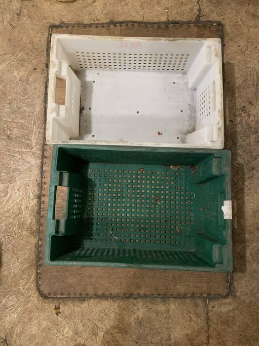 Продам ящики лотки овочеві