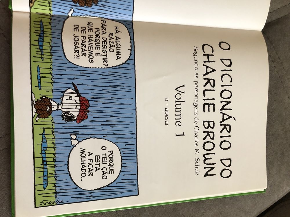 Livro da colecao O Dicionario do Charlie Brown