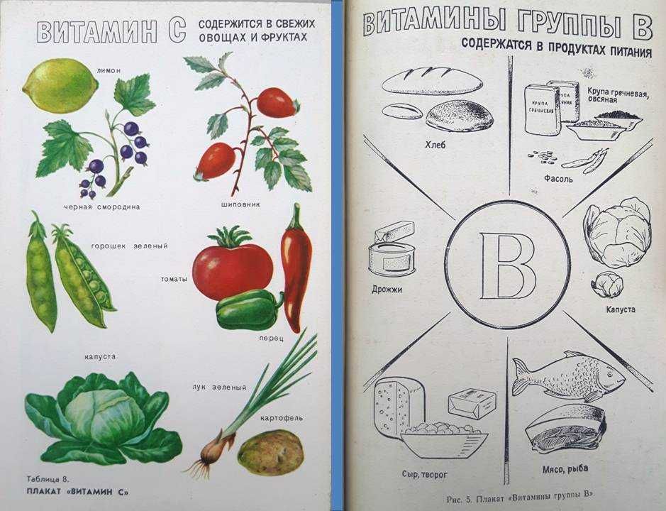 Листова Г.С. «Кружок кулинарии и культуры быта» /1976 год