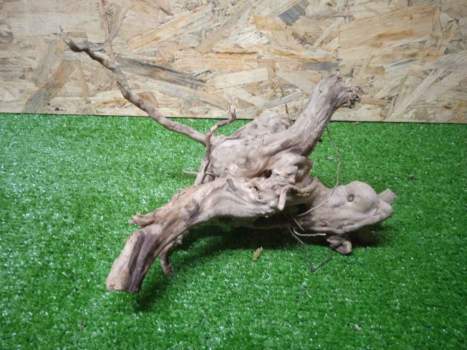 Korzeń do akwarium Red Moore Wood nr 356 o wymiarach 25/15/22