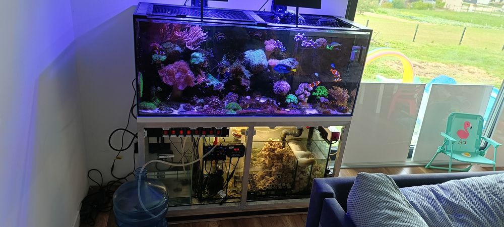 Akwarium morskie 300l